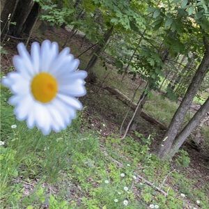 Meet your Posher, Karma